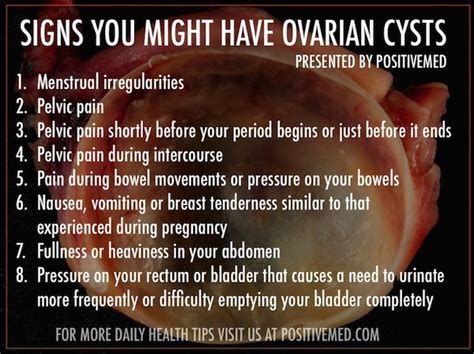 8 Signs You Might Have an Ovarian Cyst | Signs, Ovarian cyst and Ovarian cyst symptoms