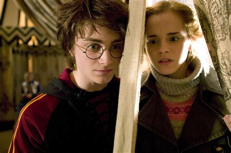 Harry and Hermione - Harry Potter Photo (2255066) - Fanpop