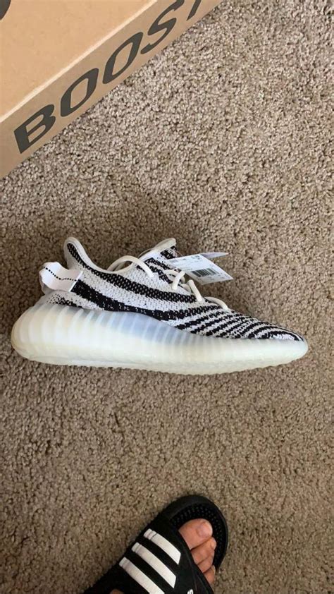 adidas Yeezy Boost 350 V2 Zebra | Kixify Marketplace