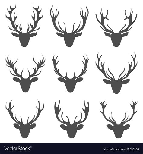 Set deer heads collection stag horns isolated Vector Image