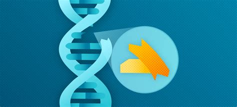 A Guide for Successful Cell and Gene Therapy Research - Advarra