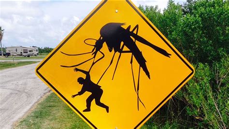 Sign with massive mosquito missing from Brazoria Co. park - ABC13 Houston