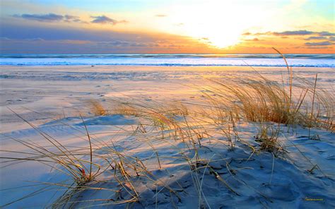 Download Sand Beach Sunset Dune Gr Yellow Sea Baltic Sky Cloud 1568534 ...