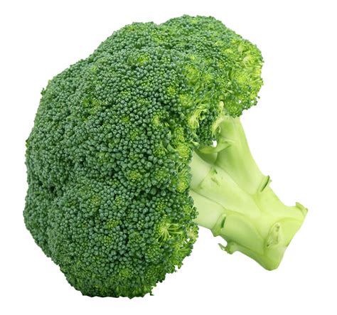 Broccoli PNG Transparent Broccoli.PNG Images. | PlusPNG