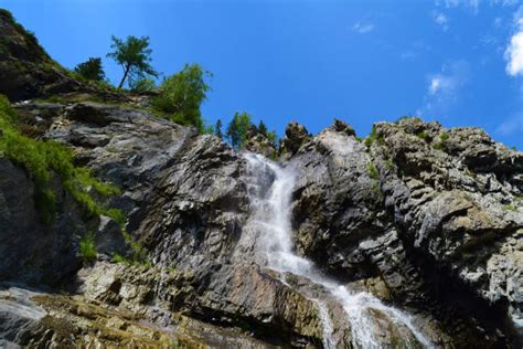 Best Altai Nature Reserve Stock Photos, Pictures & Royalty-Free Images - iStock