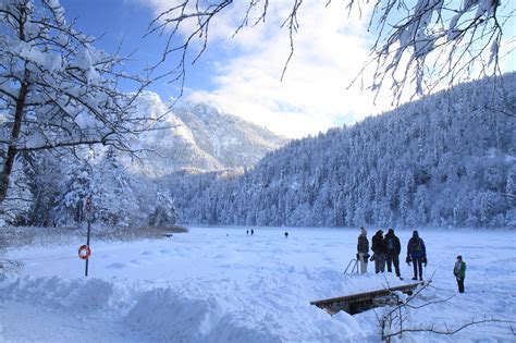 The most beautiful hiking trails in Forggensee | Outdooractive