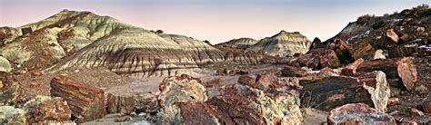 Petrified Forest National Park (U.S. National Park Service)