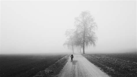 fog, alone, bw, silhouette, road, trees 4k fog, bw, Alone Words ...