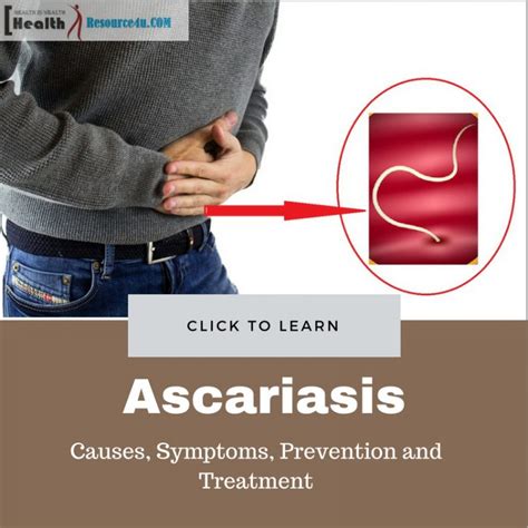 ascaris lumbricoides treatment and prevention