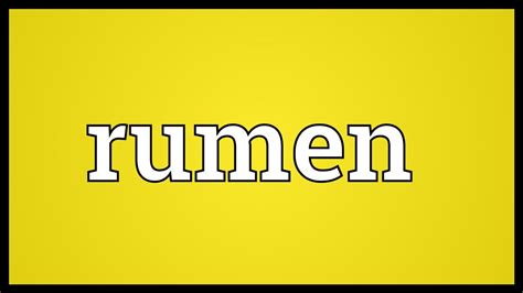 Rumen Meaning - YouTube