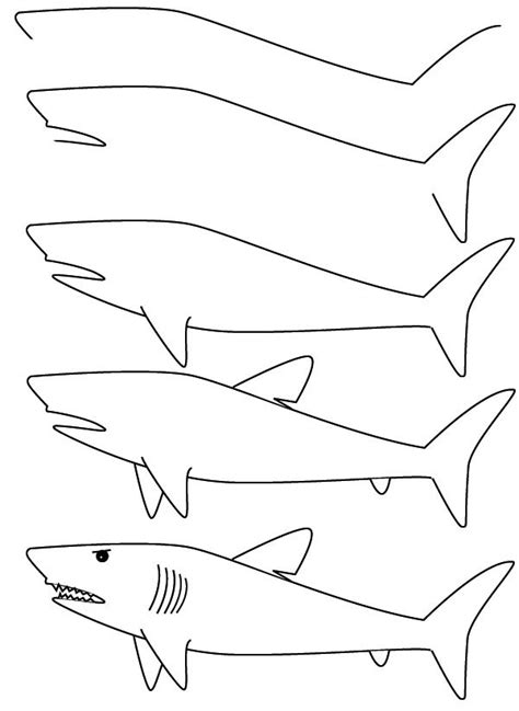 drawing shark | Легкие рисунки, Рисовательные проекты, Уроки рисования