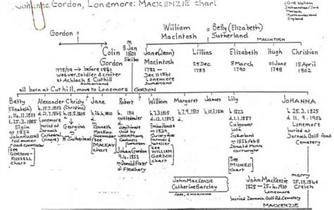 Handwritten copy family tree of Colin Gordon of Achlachandcuthill - Historylinks Archive