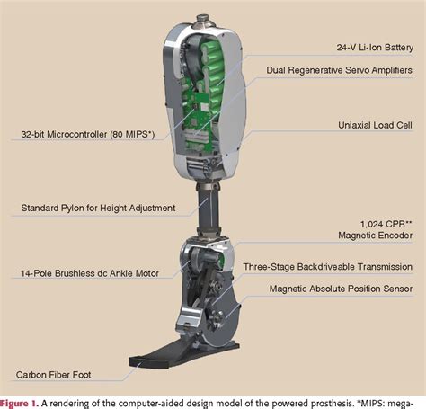 Figure 1 from A Robotic Leg Prosthesis: Design, Control, and Implementation | Semantic Scholar