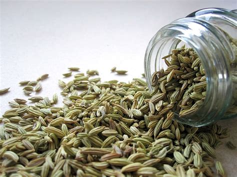 What Are The Different Types of Fennel Seeds?