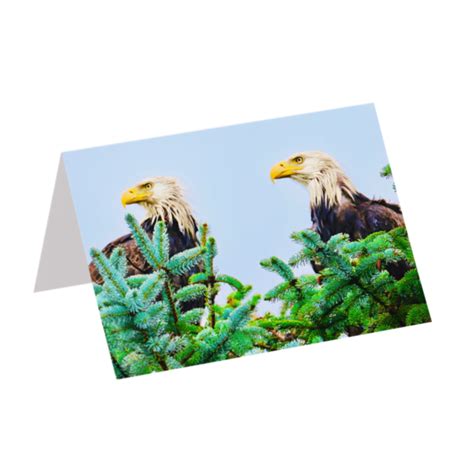 Double Eagles (Greeting Card) - Andy Andrews