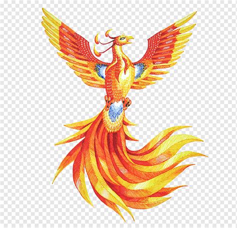 Yellow and red phoenix, Phoenix Drawing, Phoenix HD, color, fictional Character, art png | PNGWing