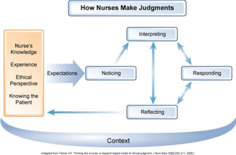 Professional Nursing: Clinical Judgement & The Nursing Process ...