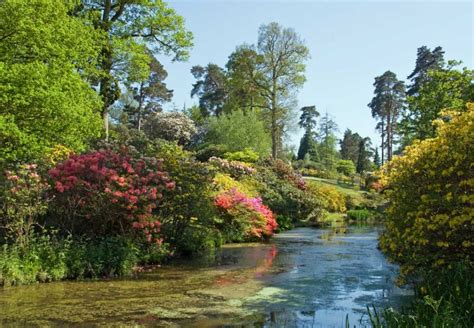 Zé Viagem: Leonardslee Garden - Inglaterra