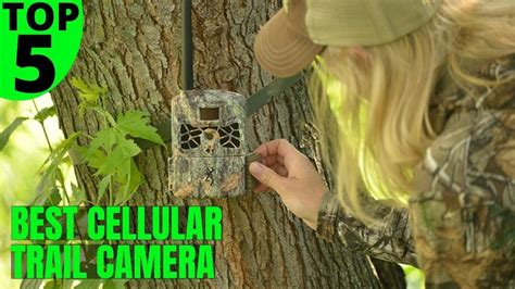 ️Best Cellular Trail Camera Reviews [Latest] - YouTube