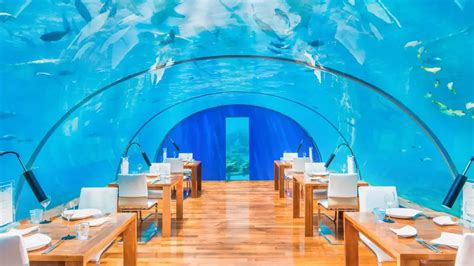 Maldives Underwater Restaurants: 7 Spectacular Choices