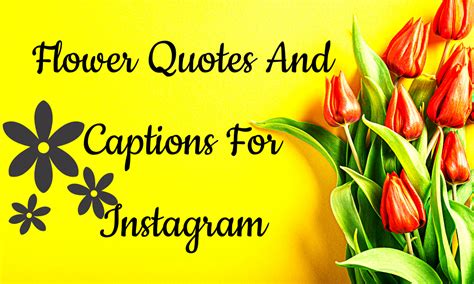 Amazing Flower Quotes For Instagram That You Should Use