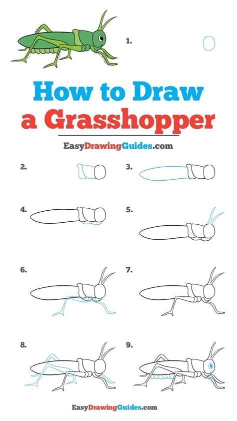 How to Draw a Grasshopper - Really Easy Drawing Tutorial