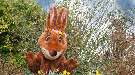 Easter Bunny is giving a seasonal feel to Marwell Zoo | altonherald.com