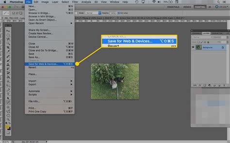 How to Use the Photoshop Save for Web Tool