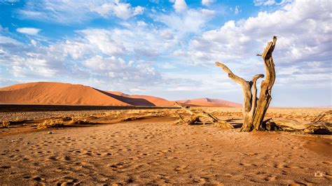 Sossusvlei Namibia Desert 4K Wallpaper / Desktop Backgroun… | Flickr