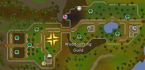 The Best Place to Cut Yews in OSRS | DiamondLobby