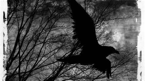 Raven Wallpapers - Wallpaper Cave