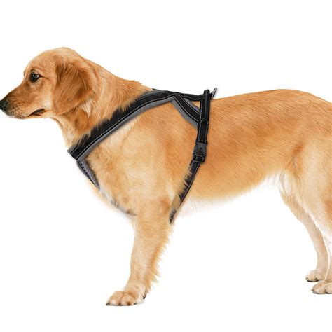 Dog Harness with Handle on Top for Large Dogs