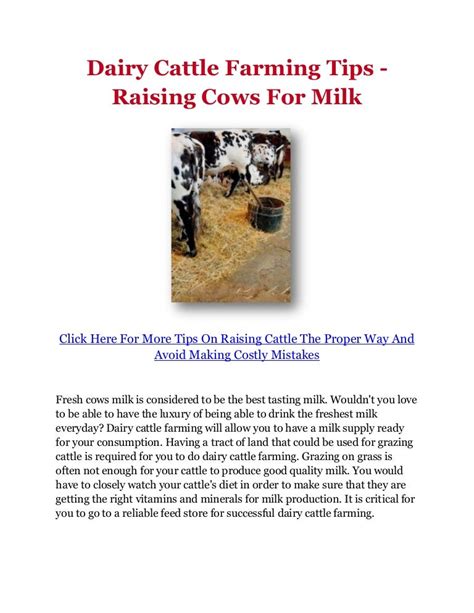 Dairy Cattle Farming Tips - Raising Cows For Milk