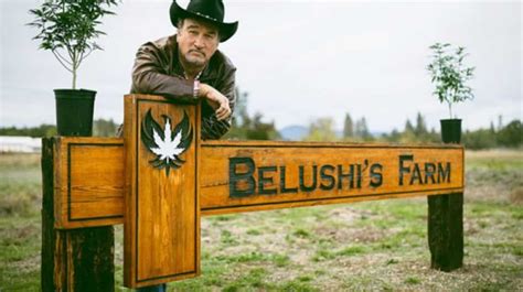 Growing Belushi Season 3 Episode 1: Release Date, Spoilers & How To ...