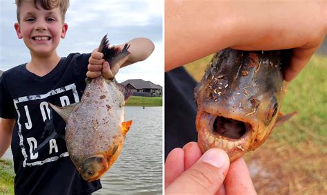 Kid Catches Fish with Human-Like Teeth in Oklahoma | Outdoor Life