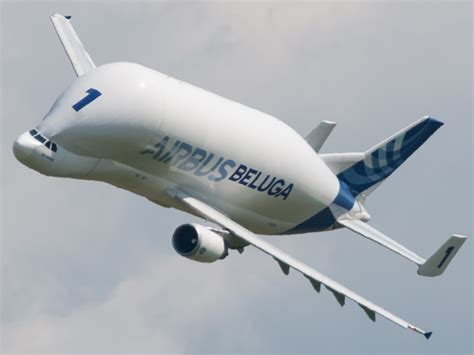 Airbus Beluga - Wikiwand