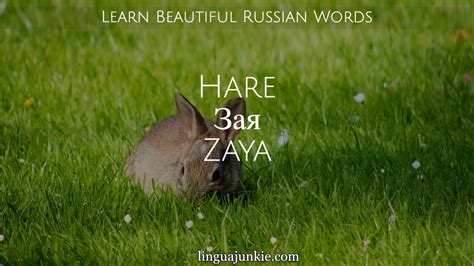 Learn Russian - The Top 20 Beautiful Russian Words You Should Know