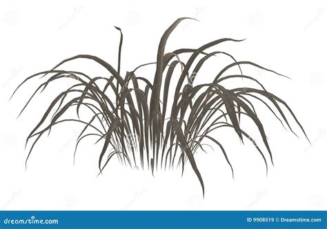 Dead Grass stock illustration. Illustration of turf, verdure - 9908519