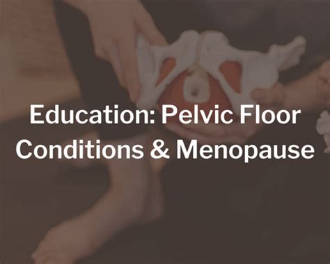 Education: Pelvic Floor Conditions & Menopause | ReConnect+