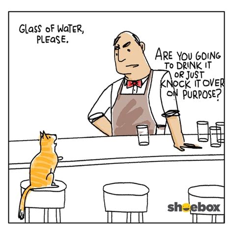 Cat walks into a bar - Meme Guy