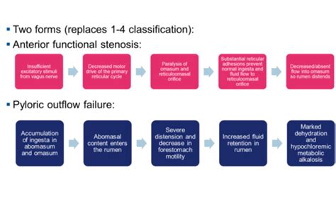 16. Abdominal distension Flashcards | Quizlet