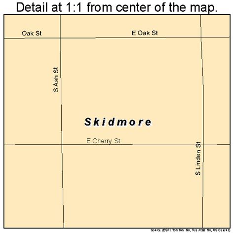 Skidmore Missouri Street Map 2968132