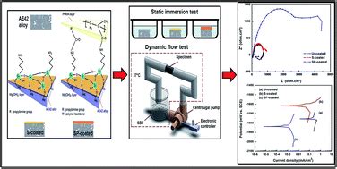 The influence of silane and silane–PMMA coatings on the in vitro biodegradation behavior of AE42 ...