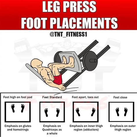 Press placement | Leg press, Leg muscles, Leg workout