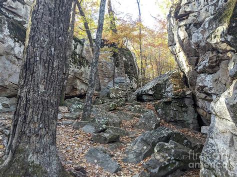 Rocky Terrain Photograph by Kaitlyn Somazze - Fine Art America