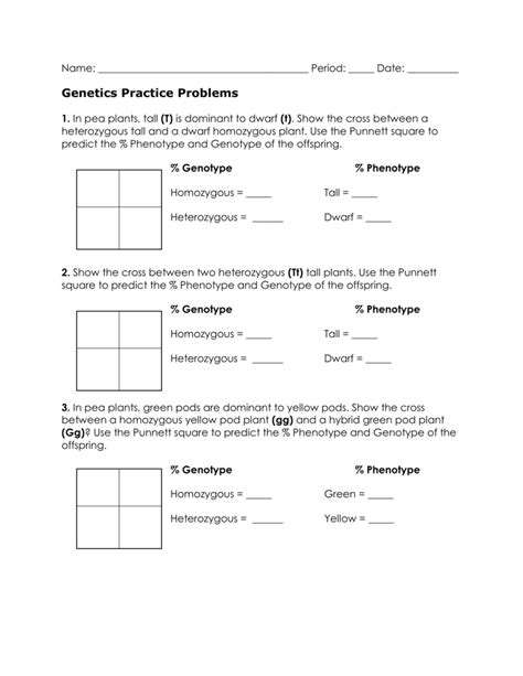 Genotype And Phenotype Practice Pdf