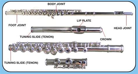 Parts of the Flute | My Instrument | Pinterest | Flute, Flute parts, Beginner piano lessons