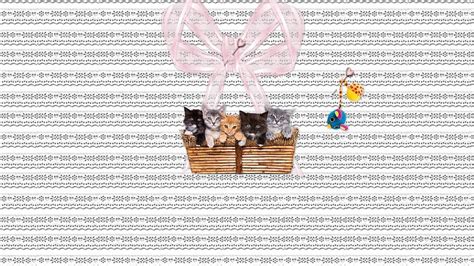 A basket of lovely kittens, basket, animals, pets, cats, babies, nature HD wallpaper | Pxfuel