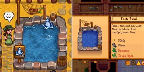 ️【 Stardew Valley: una guía completa de estanques de peces 】2024