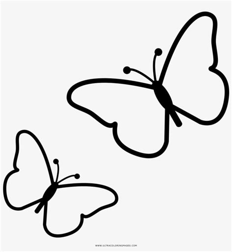 Borboletas Coloring Page - Desenho Borboleta Para Colorir Png ...